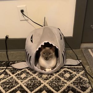 Meet your Posher, Margo